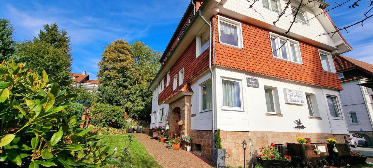 Hotel Elisabeth Ilse Braunlage Kültér fotó