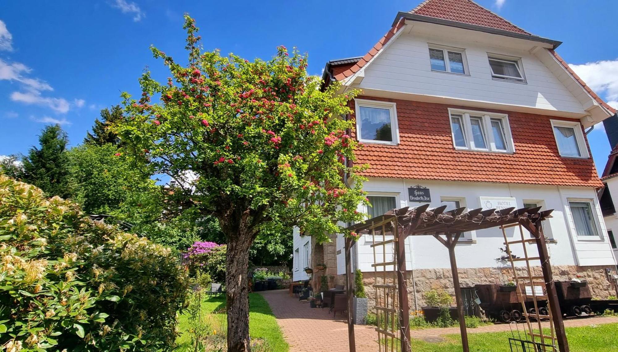 Hotel Elisabeth Ilse Braunlage Kültér fotó