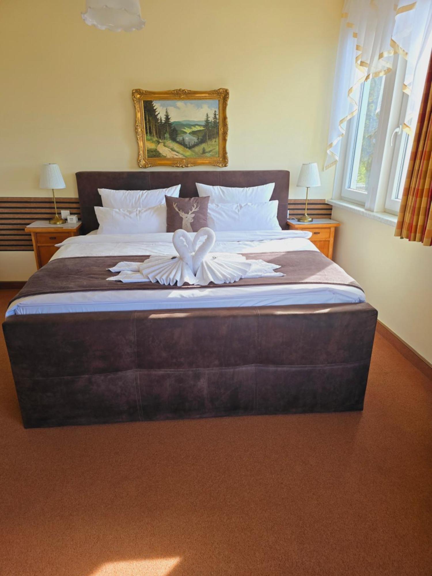 Hotel Elisabeth Ilse Braunlage Kültér fotó